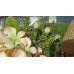 SUMMER CLEARANCE ! Spring Summer Door Wreath  Peach Hydrangea    323130250564